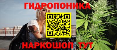 трава Аша