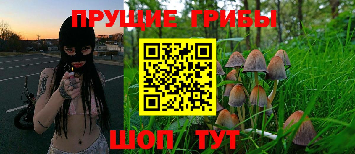 Алапаевск  Галлюциногенные грибы Magic Shrooms  Галлюциногенные грибы прущие грибы  Вход с VPN 